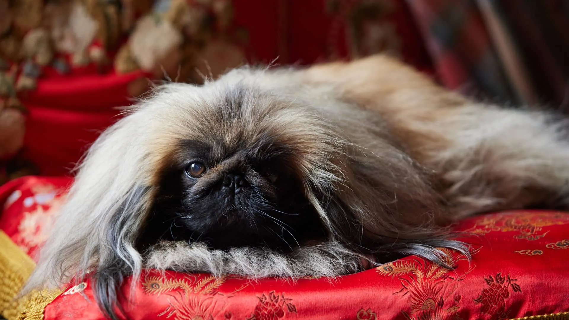 This description is placeholder